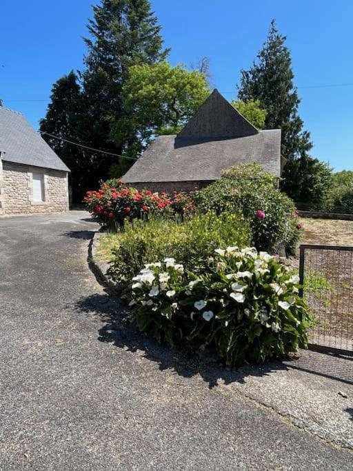 Gite Du Dolmen Guiscriff Buitenkant foto